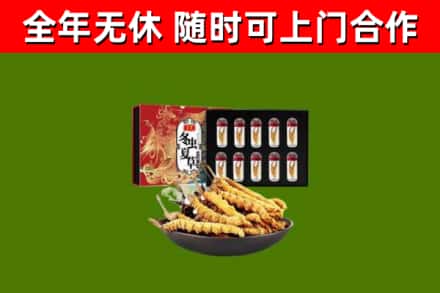 安达回收冬虫夏草价格